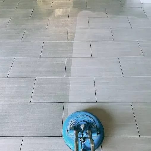 Deep cleaning process of a carpet in Bremerton, WA